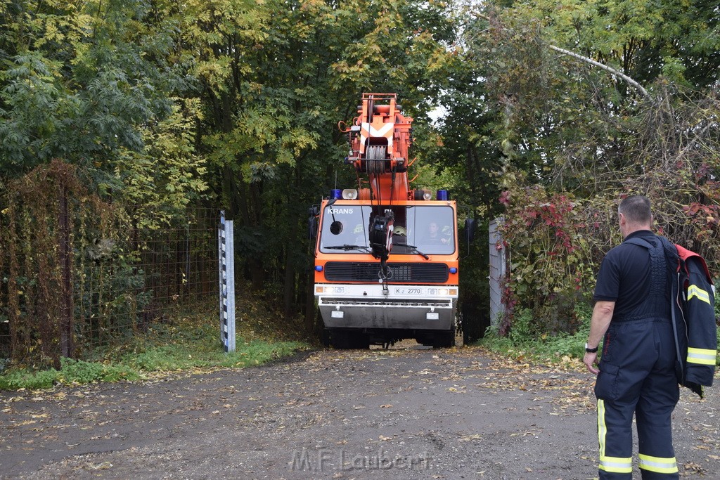 Einsatz BF Koeln PKW im See Koeln Esch P260.JPG - Miklos Laubert